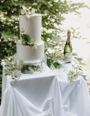 Tortenanschnitt & Sektempfang